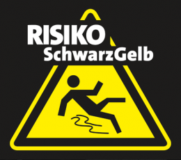 Risiko: Schwarz-Gelb! - Das kritische Weblog!